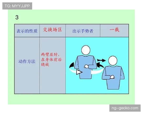 裁判手势规则详解：新手如何看懂篮球场上的判罚信号
