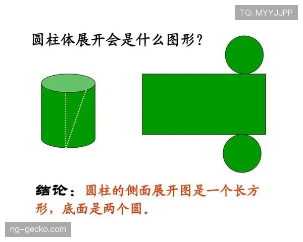 防守圆柱体扩展的最新规则变动，如何影响赛场判罚？